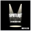 Spotlajt
